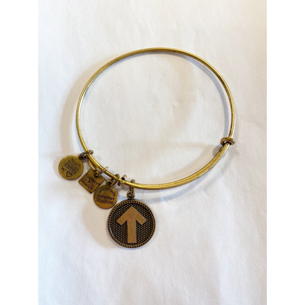 ALEX & ANI Stand Up to Cancer Charm Bangle